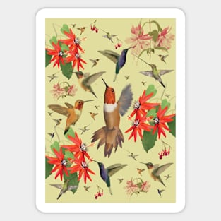 Hummingbird Sticker